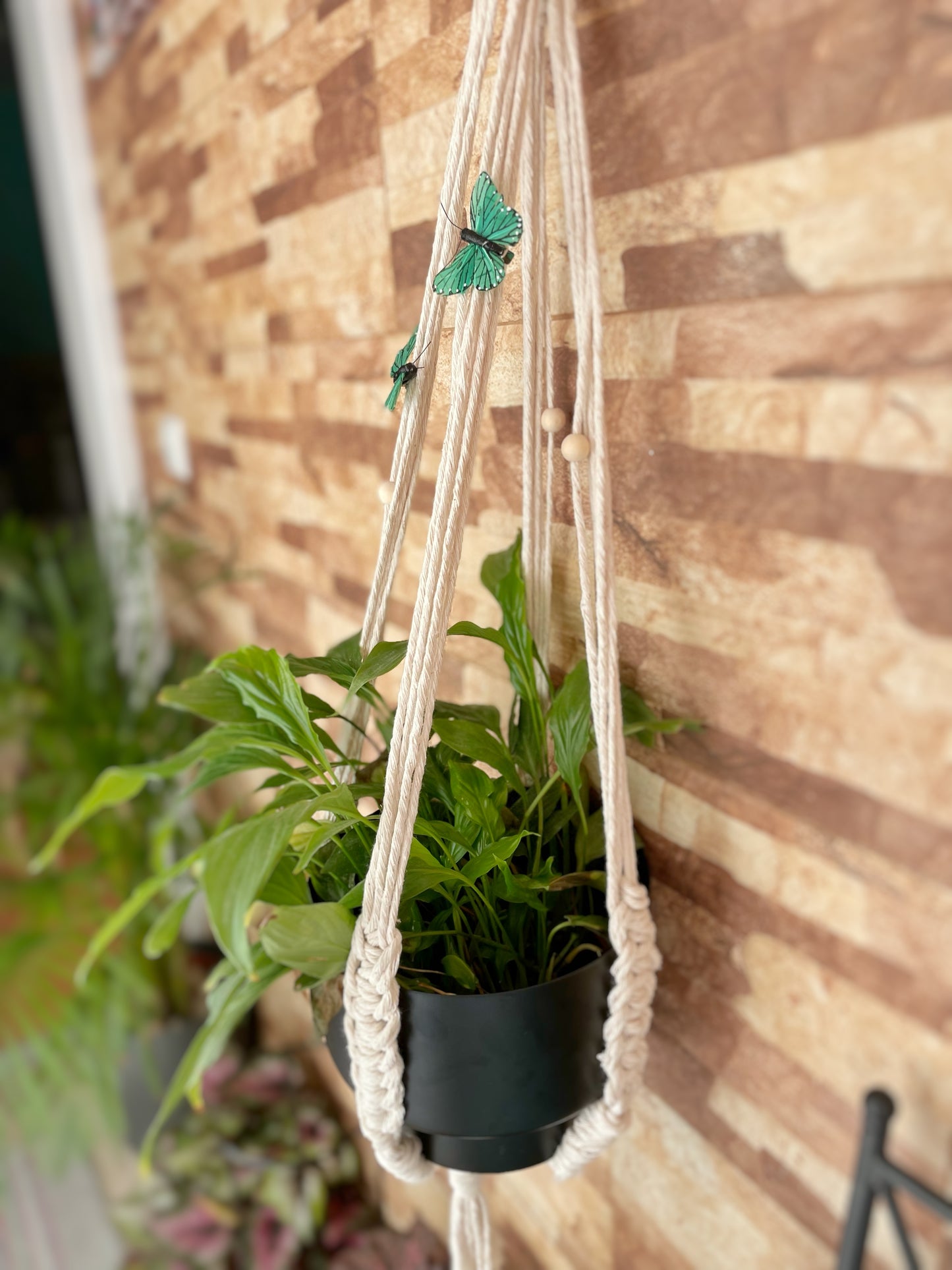 Suporte feito à mão para plantas- um vaso incluído