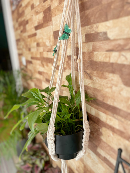 Suporte feito à mão para plantas- um vaso incluído