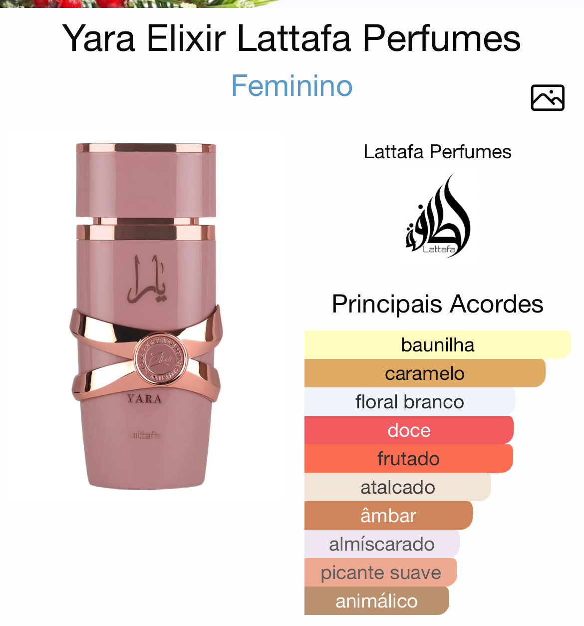 YARA ELIXIR 100ml | LATTAFA (feminino)