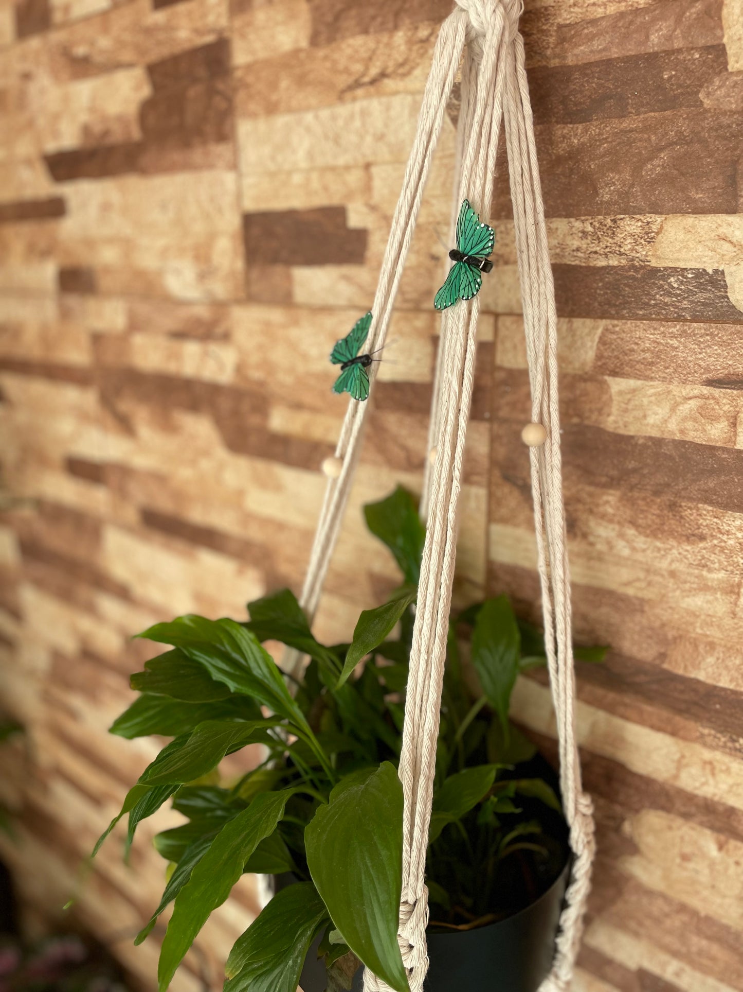 Suporte feito à mão para plantas- um vaso incluído